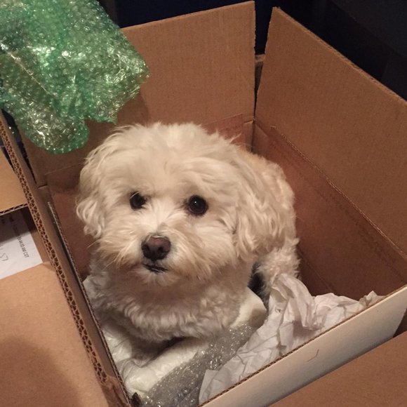 ABOUT ME - Picture 1 of 1